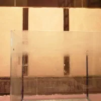 دوعدد اکواریوم