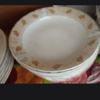 پلوخوری ودیس