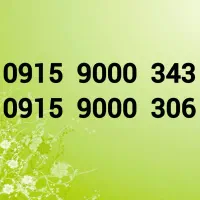 0915-9000-343