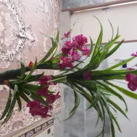 گل مصنوعی