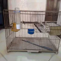 قفس پرنده