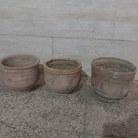 گلدان|گل و گیاه طبیعی|تهران, جوادیه|دیوار