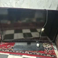 تلوزیون