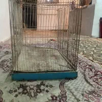 قفس بزرگ