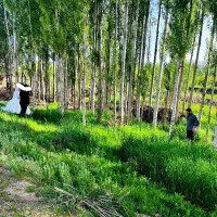 خدمات عکسبرداری و فیلمبرداری