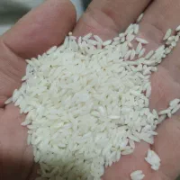 برنج سونا ماسوری صبح بخیر محسن