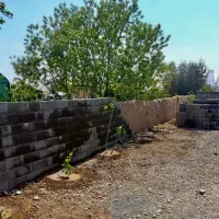 زمین تفکیک شده (چهار دیواری ) فیلستان سند تک برگ