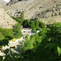 فروش زمین در جاده چالوس ، پلخواب
