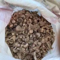 150|خوردنی و آشامیدنی|شیروان (خراسان), |دیوار