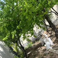 باغچه-400متری-شهریار-کهنز-رزکان