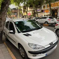 ۲۰۶ جوان پسند
