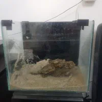 اکواریوم سالم با وسایل