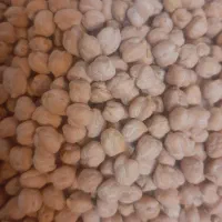 نخور تازه ۱۰روزه برداشت شده زود پز به شرط