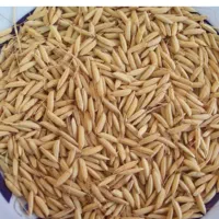 یک گونی چلتک خشک پارسال