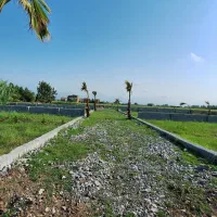 دنج و رویایی قلب مازندران / اقساطی بدون سود