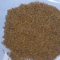 بذریونجه ۳ الی ۴چین درجه یک محصول خودم