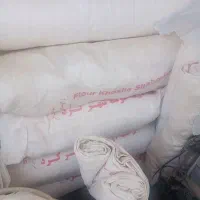 گونی آردی