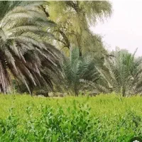 نیازمند کارگر ساده