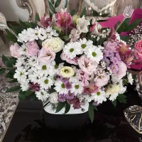 گل و گیاه