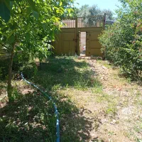 باغ با اصالت دومین قطعه از آسفالت روستای زین آباد