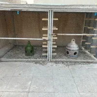 قفس گنجه کبوتر
