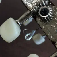 آموزش تخصصی گیتار و سفلژ و آواز...