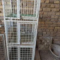قفس جفت کن 3طبقه محکم رنگ کوره ای
