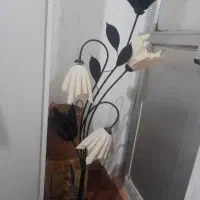 آواژور کنار  سالنی