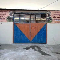 خرید فروش علوفه دامی کاه یونجه سبوس اسب گاو
