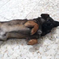 ۰۰۰