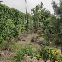 فروش نقد تهاتر