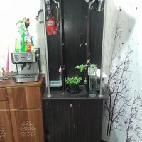 جاکفشی ایستاده