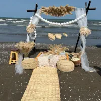 دیزاین ساحلی