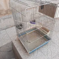قفس طوطی