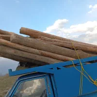 هرس و خرید چوب سقفی و انواع چوب محلی