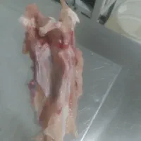 اسکلت مرغ