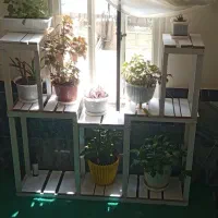 استند بزرگ گل