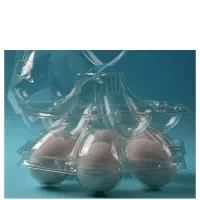 ظرف شانه تخم مرغی ۶ تایی صدفی