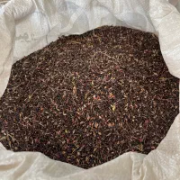 بذر دووییل درجه یک
