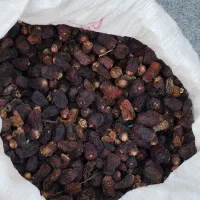 خرما کده