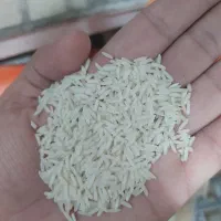 برنج دمسیاه الک شده