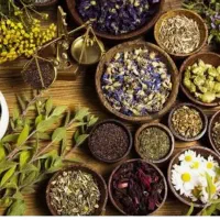 انواع گیاهان دارویی وکوهی