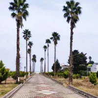 فروش-زمین-پلاک-اول-دریا-در-چیلک