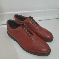 کفش مجلسی