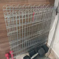 پارک سگ ۸ تیکه