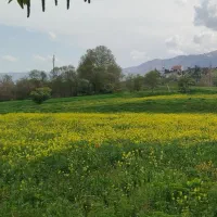 اماده کار در امور کشاورزی با نفرات مجرب