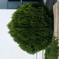 انجام کارهای فضای سبزوباغبانی