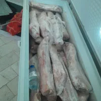 راسته بره با استخوان منجمد ۱میلیون ۱۰۰ هزار
