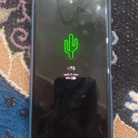 گوشی