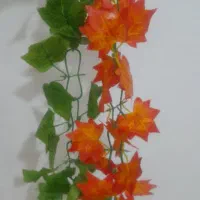 ریسه برگ